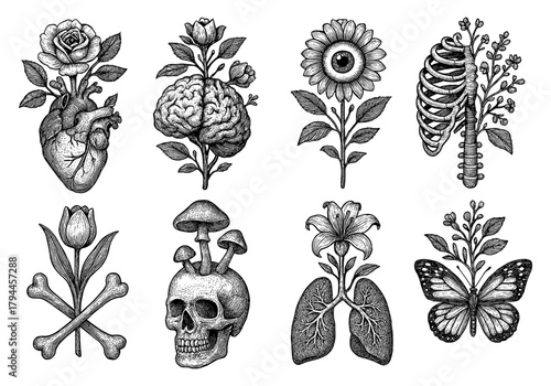 Intricate floral anatomy: surreal botanical and human fusion art