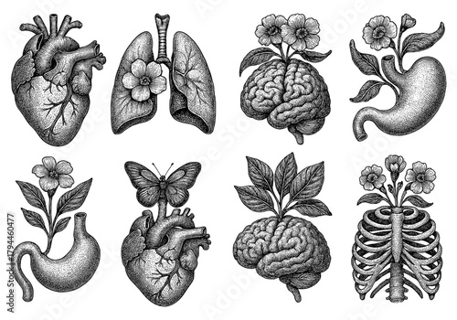 Intricate hand-drawn anatomy with floral and botanical elements