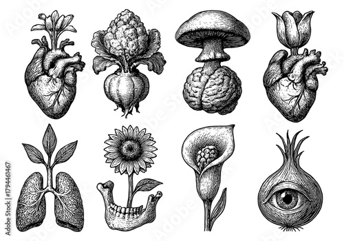 Vintage botanical anatomy: surreal hand-drawn art fusing nature and human biology in monochrome