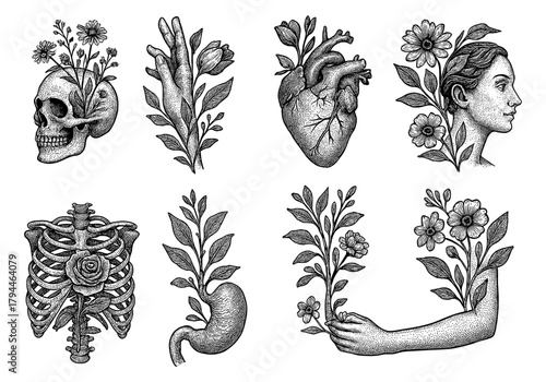 Intricate botanical anatomy: vintage hand-drawn art of human and nature elements