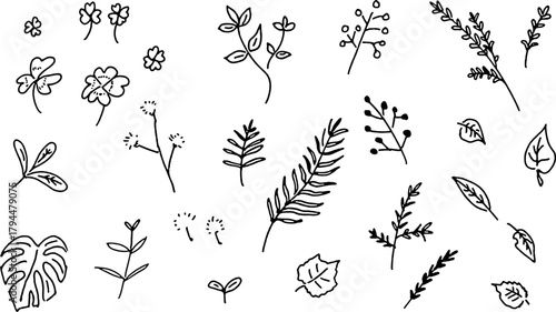 手描き風で描かれた植物と葉のボタニカル線画セット｜植物,葉,,線画,手描き