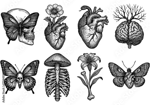 Intricate gothic tattoo art: skulls, flowers, hearts, and butterflies collection