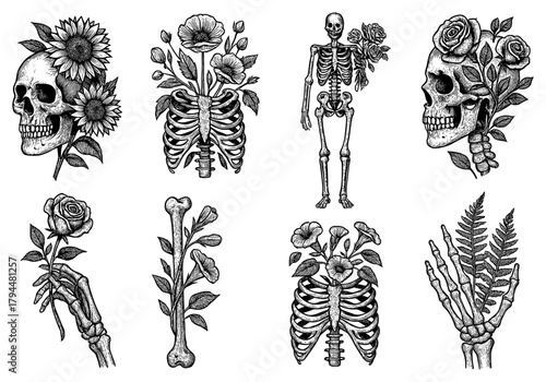 Vintage anatomy and floral fusion in monochrome art
