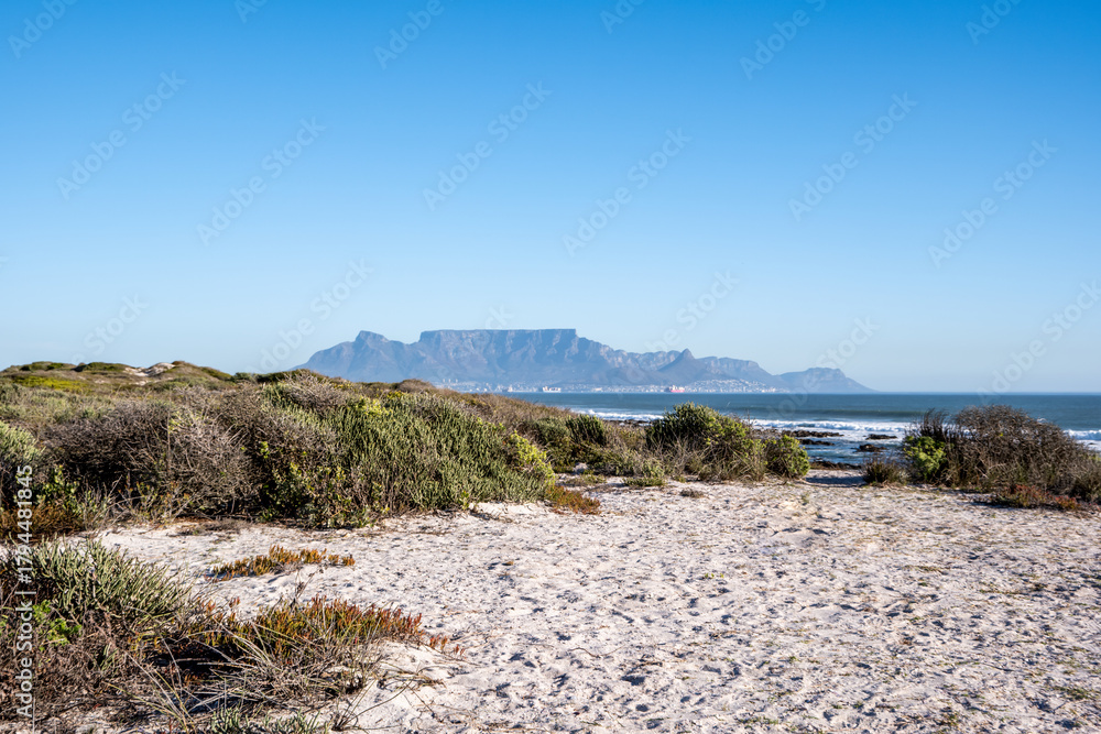 Fototapeta premium Cape Town Coastline with Table Mountain Under Clear Skies