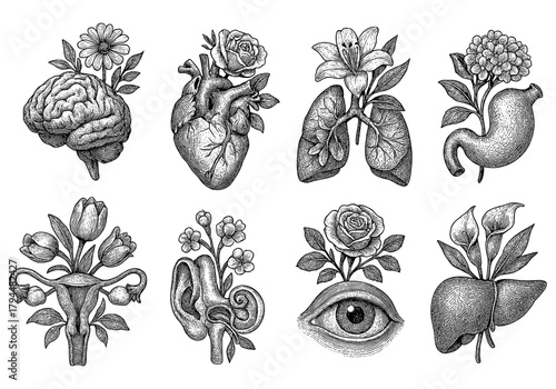 Botanical anatomy: vintage medical organs merged with flowers in black and white
