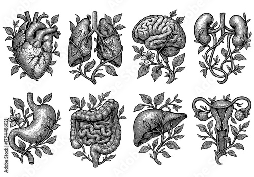 Vintage floral anatomical organs illustration with botanical elements in detailed ink style