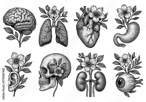Vintage anatomy with floral elements: intricate black and white engravings