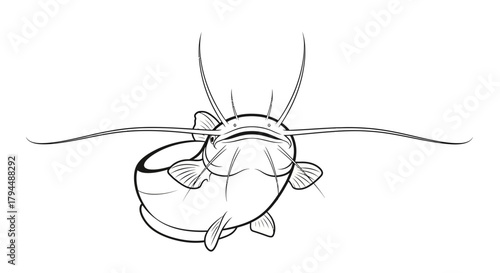 A detailed black and white line drawing of a catfish facing forward with its barbels extended.
