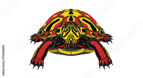 A vibrant, stylized illustration of a turtle with a patterned red, yellow, and black shell, viewed from the front.