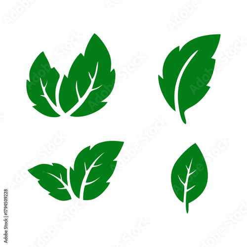 Set of Green Leaf Icons with Vein Detail