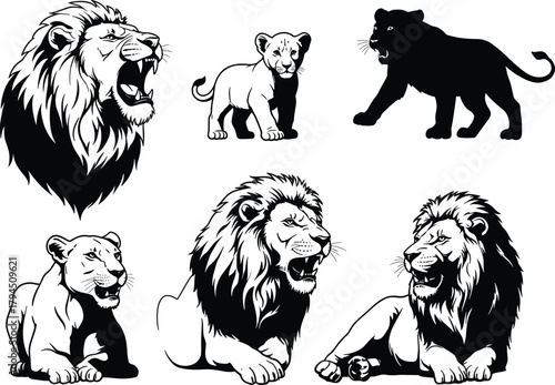 Lions and lioness in various poses, roaring, walking, resting, cub, wildlife animal flat vector illustration