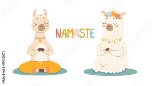 Cute lama in a yoga pose on a white background. Cute children's style. Cute relaxed llama in meditation pose. Alpaca. Vector illustration in cartoon style
