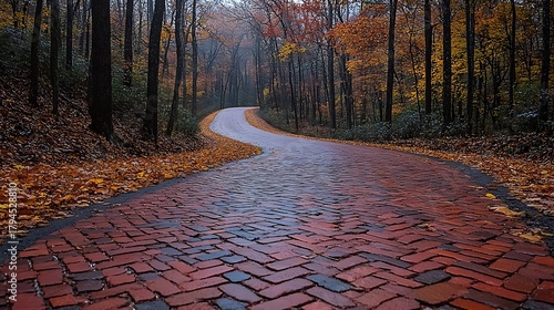 Autumn foliage winding road
