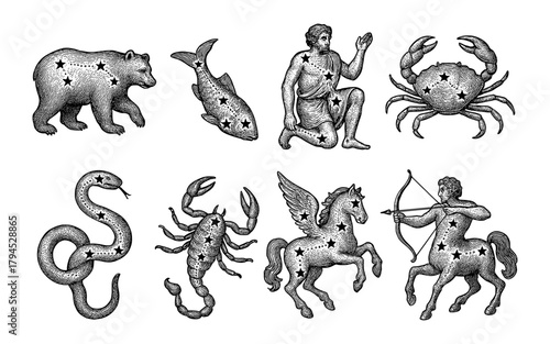 Hand-drawn zodiac constellations featuring animal and human mythical figures
