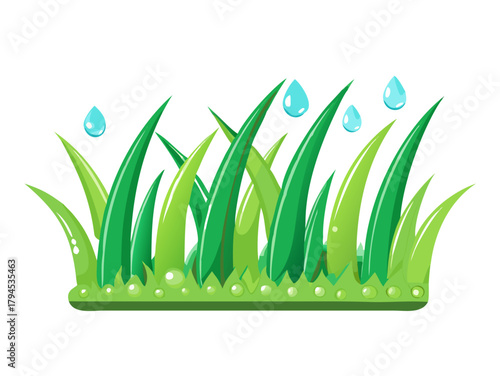 Large beautiful drops of dew or rain on leaf of grass in morning sunlight in nature outdoors, close-up macro.

