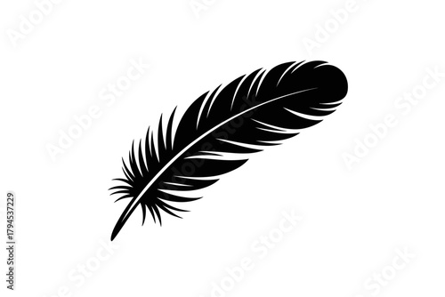 Elegant Black Feather Isolated on White Background for Artistic and Design Purposes showcasing simplicity and grace