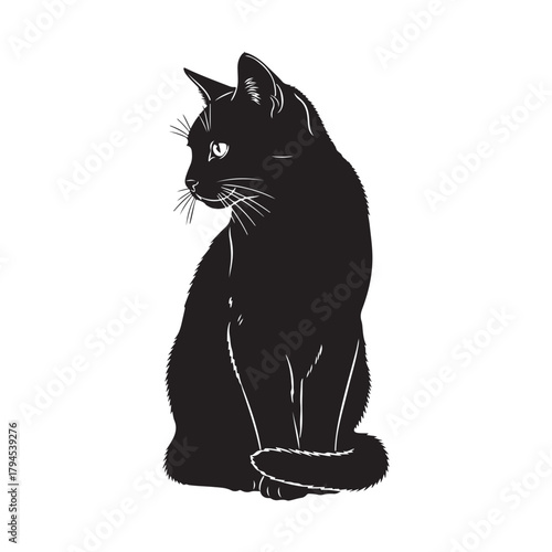 Elegant Black Cat Silhouette Sitting and Looking Sideways.