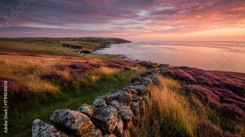 Golden hour landscape in Englandâ€™s Northumberland with heather and sea horizon