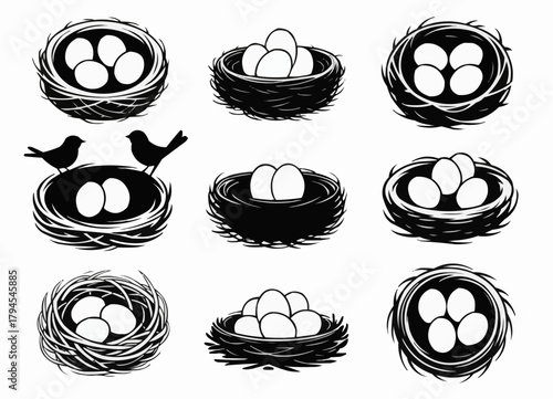 Nests filled with eggs: A visual collection, portraying bird nests each filled with pristine eggs, showcasing nature's simplicity. 