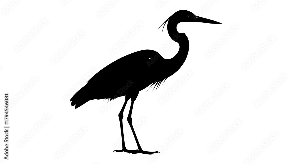 Fototapeta premium Black silhouette of a heron standing tall with its neck curved, against a plain white background