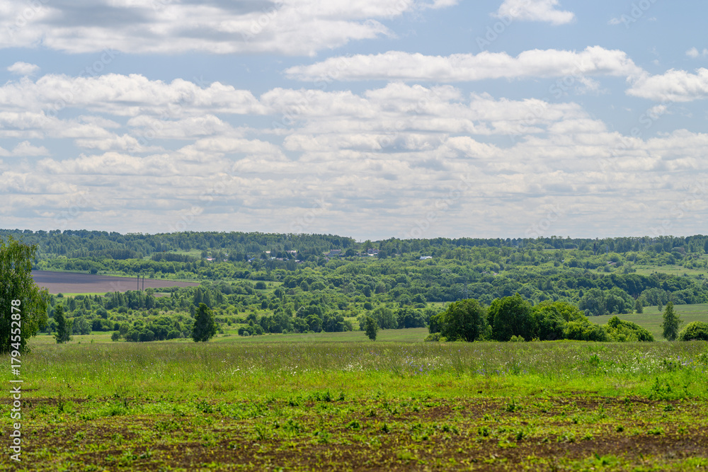 Obraz premium A Beautiful, Lush Green Landscape Spreading Across the Ground Beneath a Bright Blue Sky Above