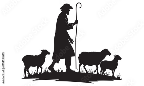 Shepherd leading flock of sheep with staff on grassy pasture
