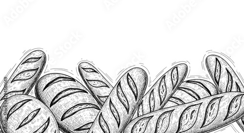Lower border frame made of French baguettes, engraving sketch, line art, on a white background, vector

