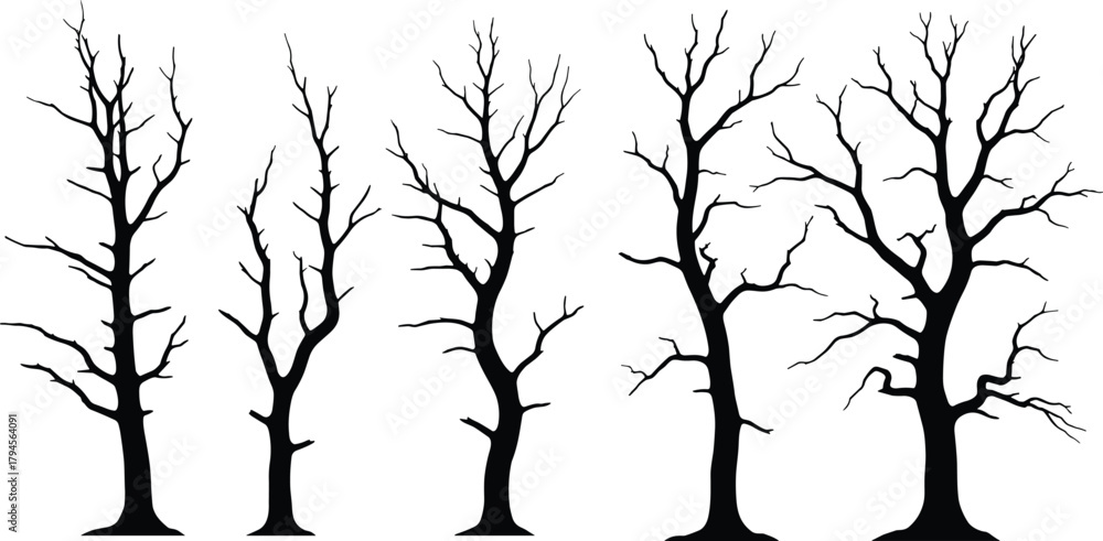 Obraz premium PrintTree silhouette illustration, leafless tree vector, branching pattern icon, winter forest design, ecology graphic, nature outline art, botanical shape, growth stage