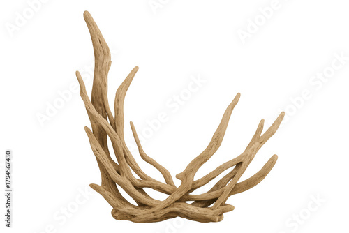 Driftwood natural sculpture with intricate roots and branches