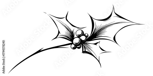 Timeless Elegance: Stylized Mistletoe Sprig | Clean, isolated vector art for creative projects.