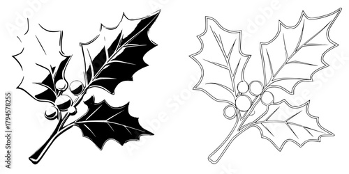 Silent Nights, Holly Leaves Mistletoe Greetings | Clean, isolated vector art for creative projects.