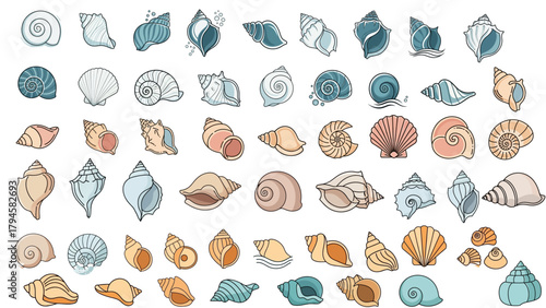 Conch Shell Icons Vector Art – Nautical Sea Shell Symbols, Coastal Marine Illustration Set, and Ocean-Themed Graphic Elements