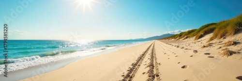 A pristine, sandy beach with tire tracks leading to the ocean, sunlit and tranquil  Perfect for summer, travel, and nature themes ,  outdoor,  seaside,  calm