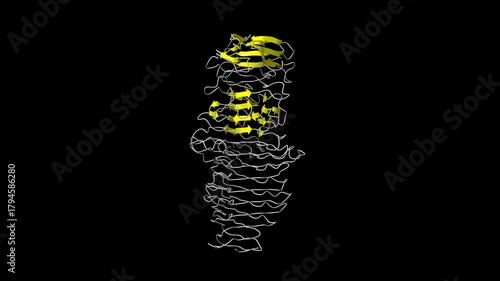 Structure of a novel Hyaluronidase (Hyal_Sk) from Streptomyces koganeiensis. Animated 3D cartoon and molecular surface models, secondary structure color scheme, PDB 4ufq, black background.