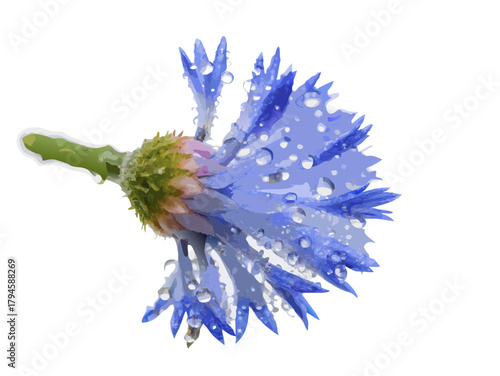 Focus stacking technique with multiple photographs