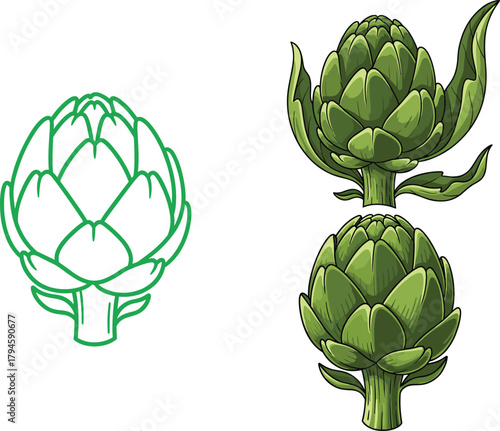 Artichoke Illustration Set – Botanical Vegetable Icons for Culinary and Nature Design