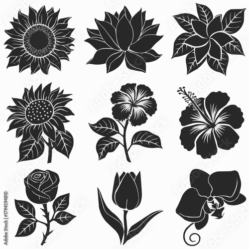 Floral Harmony: A collection of exquisite floral silhouettes, each intricately designed, creating a captivating display of nature's beauty and elegance.