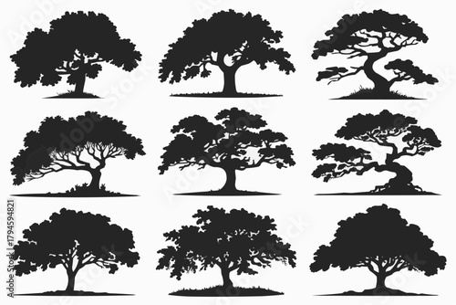 Silhouette Set of Trees: A collection of various tree silhouettes, perfect for adding a touch of natural elegance to any design. Displaying different styles, leaf shapes, and sizes.