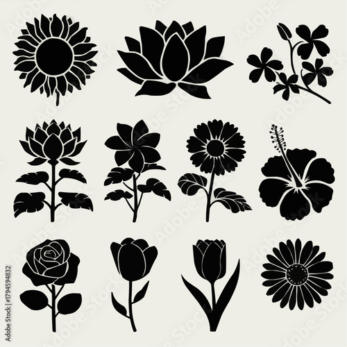 Floral Symphony: A collection of exquisite flowers, each a unique silhouette of nature's beauty, is arranged in a visually pleasing pattern.