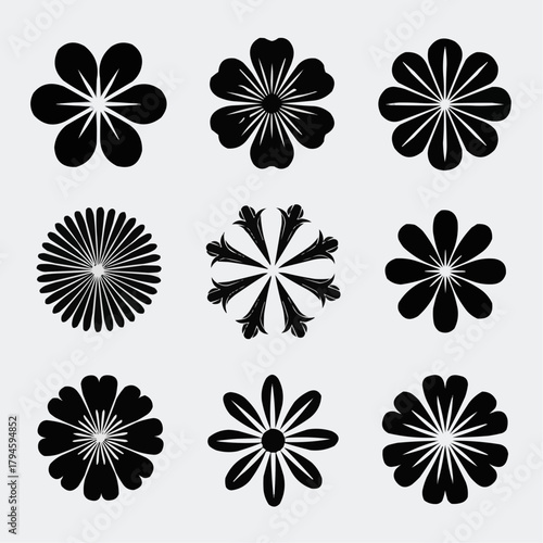 Floral Diversity: A meticulously curated collection of elegant floral designs, each petal and curve crafted with precision, showcases the timeless beauty of floral artistry.