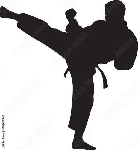 Martial Arts Expert Karate Master Kicking with Precision Silhouette Powerful Dynamic Motion Sporty Fighter Combat Self Defense Technique