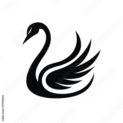 Elegant Black Swan Illustration