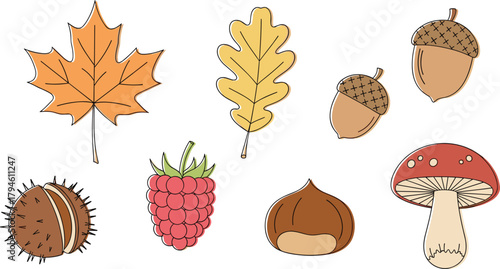 Minimal Autumn Doodle Icon Set.