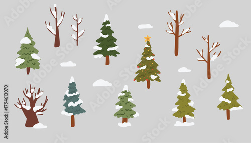 Set of Christmas trees in flat style. Trees in winter without leaves under a layer of snow. Vector illustration. 