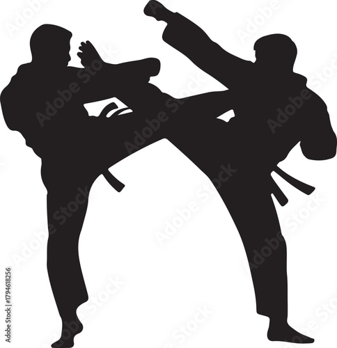 Taekwondo Fighters Kick Fight Silhouette Martial Arts Sport Competition Training Exercise Vector Illustration Isolated