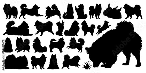 Pomeranian Dog Silhouette Set - Fluffy Spitz Vector Collection in Multiple Poses, Transparent Background