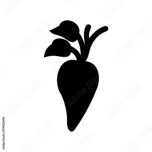 Isolated black turnip illustration on white background, symbol of organic farming