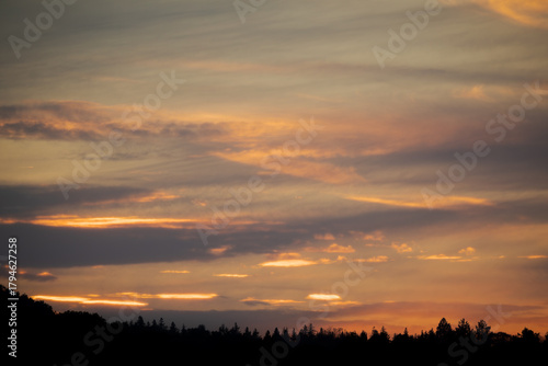 Wallpaper Mural 夕焼けに空と木々のシルエット Torontodigital.ca