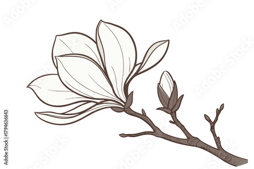 Magnolia Blossom Silhouette