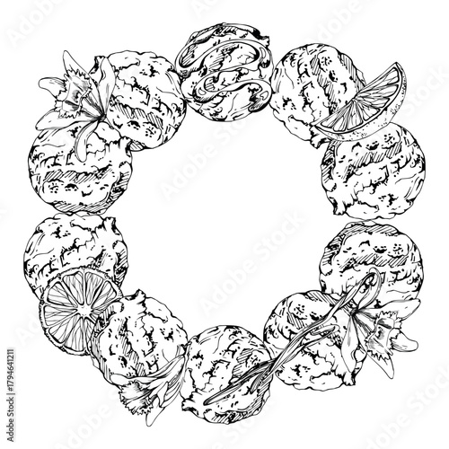 Gelato scoops with orange citrus slices, vanilla flower pods, melted syrup trickle. graphic wreath frame illustration hand drawn in vector ink. Dessert label, frozen snack topping decor, cafe signage